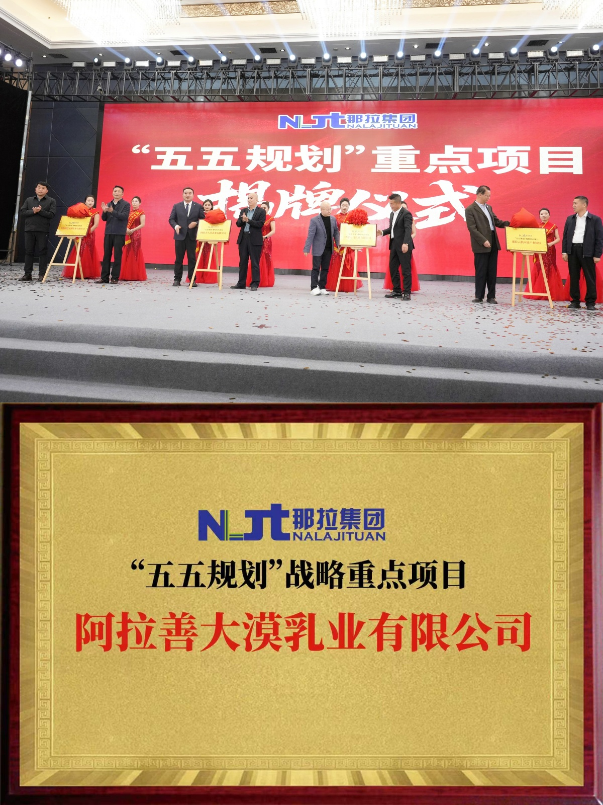 神驼踏沙启新程 大漠乳业锚定那拉 “五五规划”  战略主赛道
